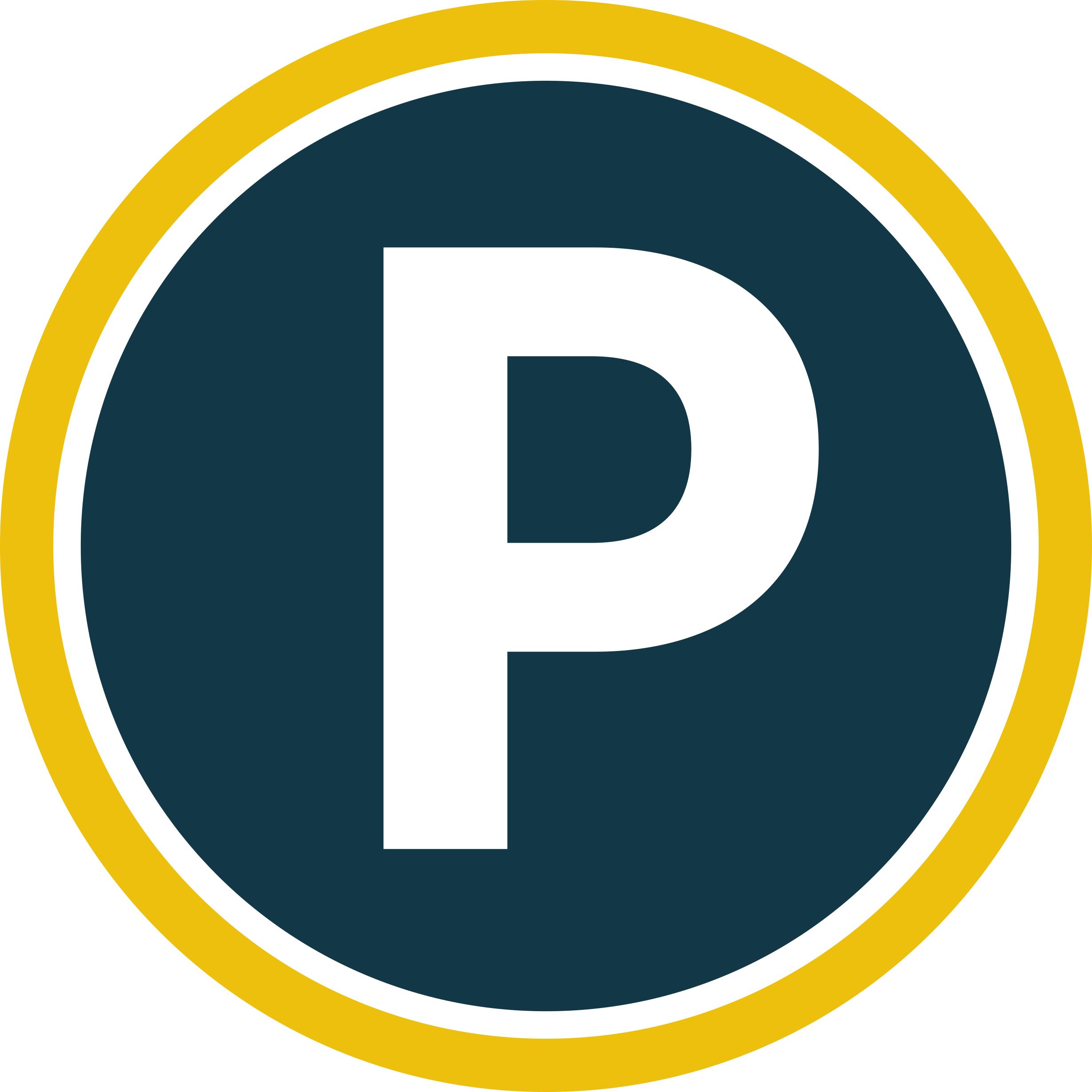 Parking icon